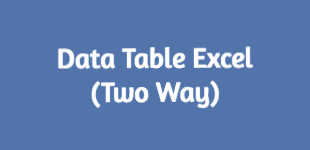 Two Variable Data Table Excel